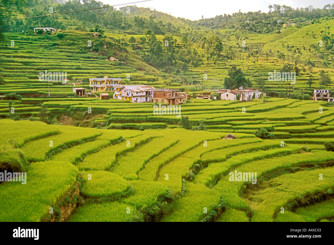 Kumaon Village Hi Res Stock Photography And Images Alamy