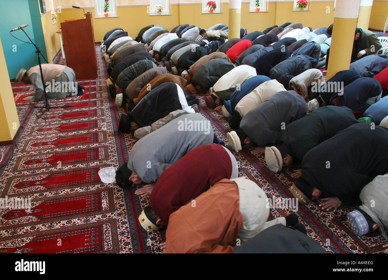 Muslime kneeing and praying in the Tahir-Mosque in Koblenz, Rhineland-Palatinate, Germany. Stock Photo