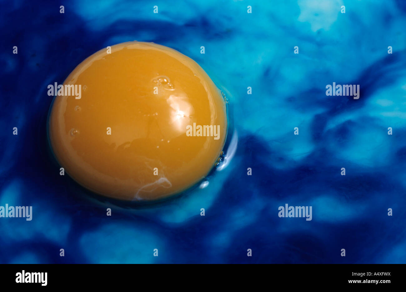 Egg white turning blue due to the practice of modifying