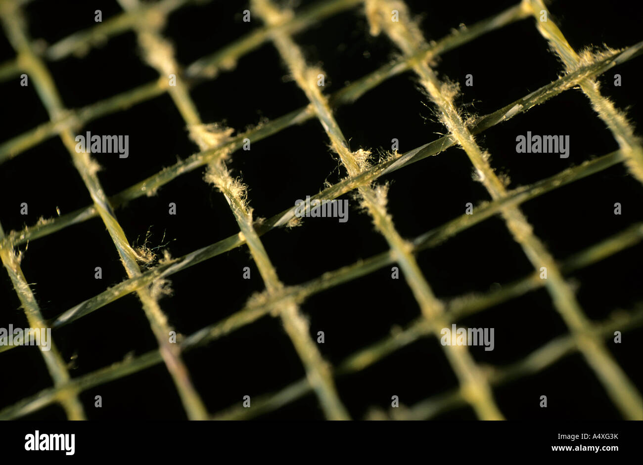 Frayed strings of a tennis racquet Stock Photo Alamy