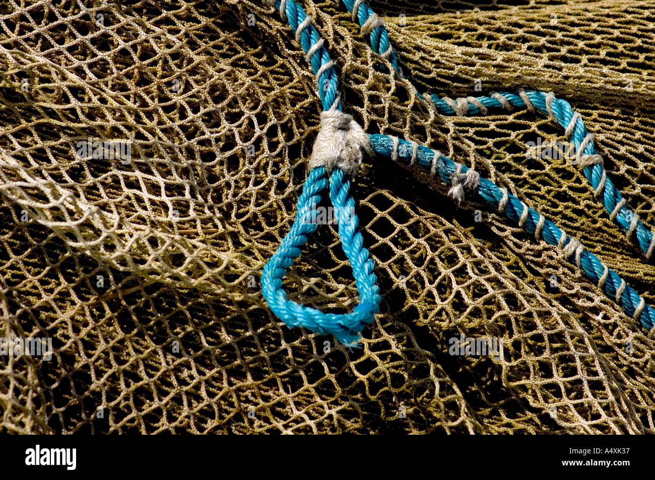 Fish Netting Rope Rope net hi-res stock photography and images - Alamy