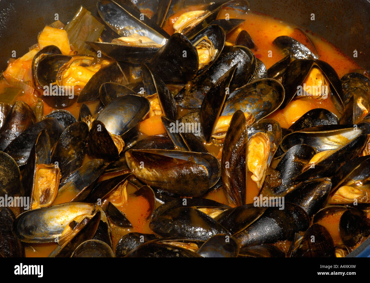Boiling blue mussels Stock Photo