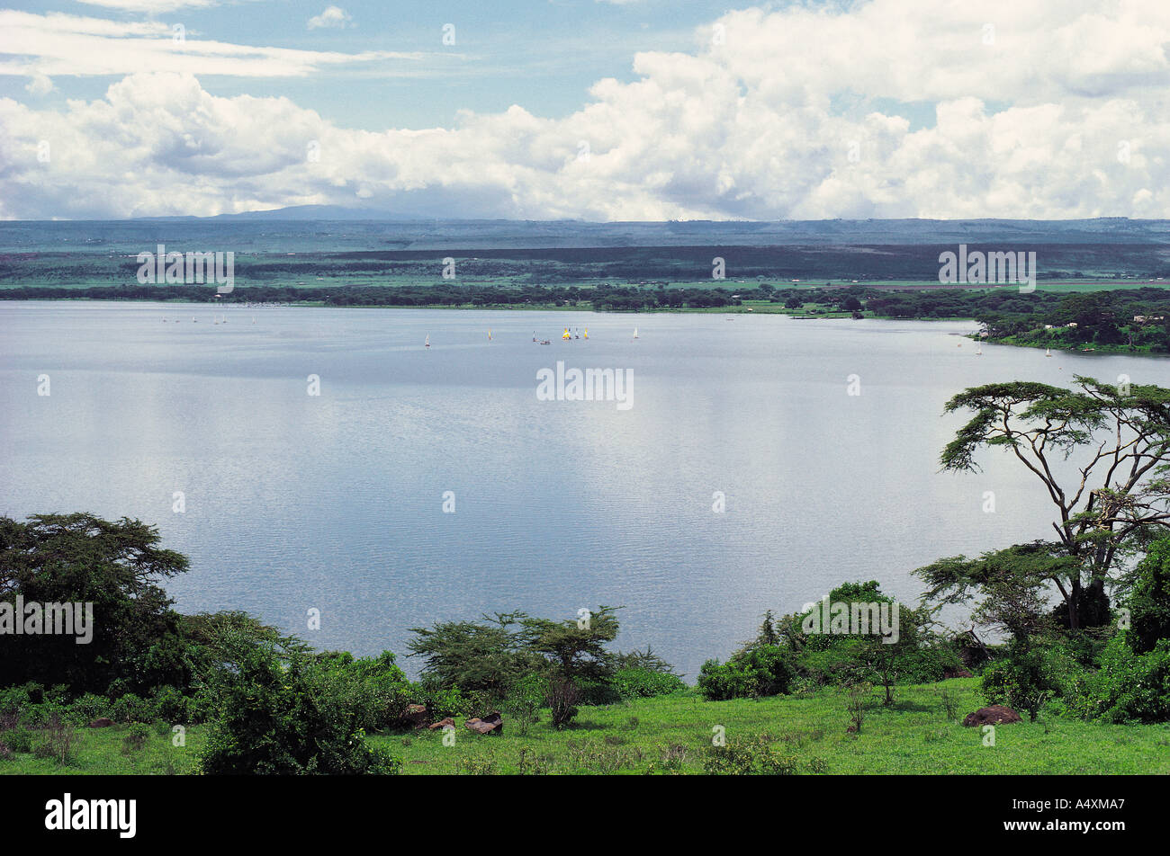 Lake Naivasha Kenya East Africa Stock Photo