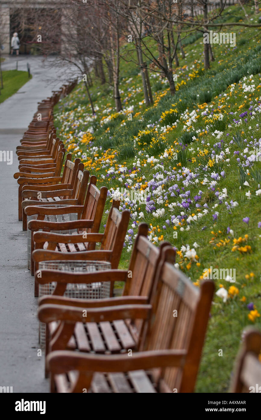 Unoccupied park hi-res stock photography and images - Alamy