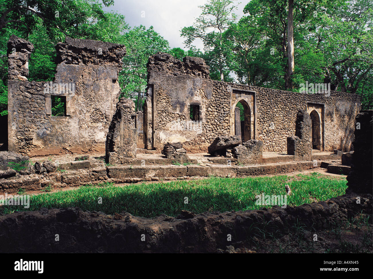Gedi ruins Kenya coast East Africa Here we see the ruined wall of the Palace Stock Photo