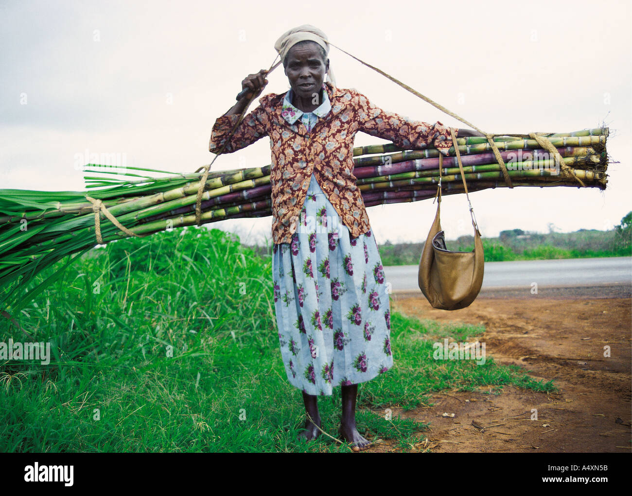A Kikuyu woman carrying a bundle of sugar cane in the Central Province