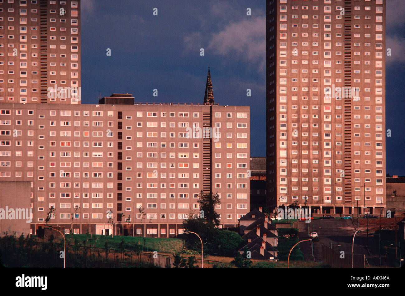 High rise flats in the east end of Glasgow Scotland Stock Photo Alamy