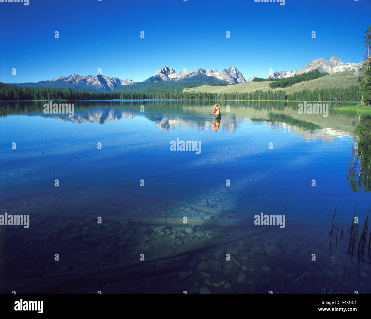 Fly fishing on Little Redfish Lake Sawtooth Mountains Sawtooth National Recreation Area Idaho