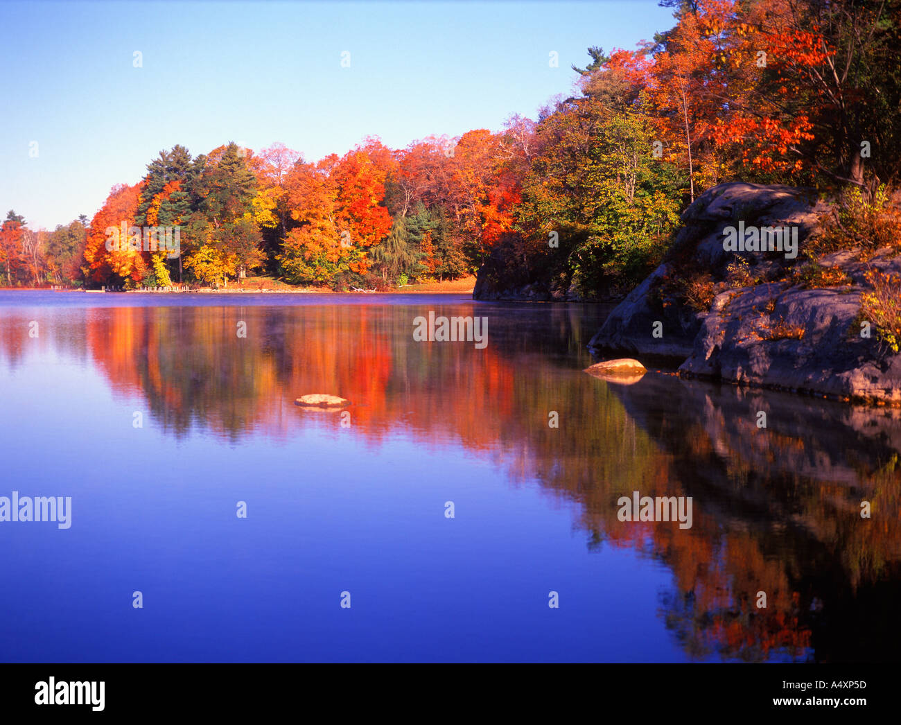 Laurel Lake lined with colorful fall foliage on an autumn morning near Lee Massachusetts New