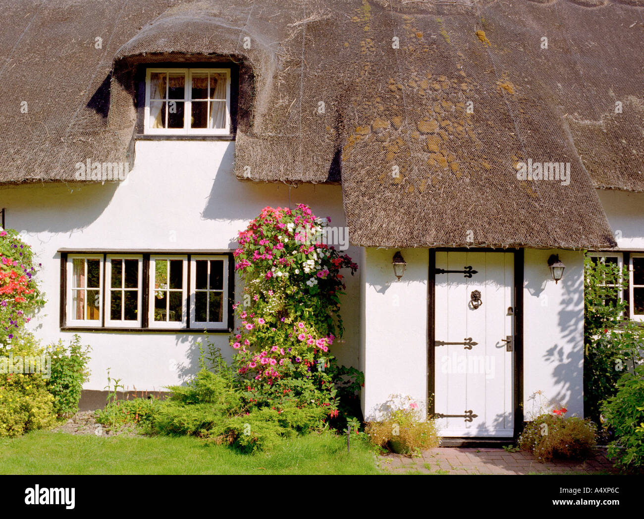 Thatched cottage at Dalham in Suffolk England UK Stock Photo