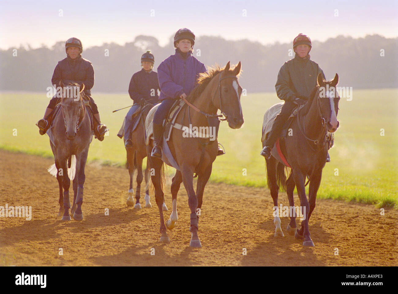 Horses training on The Gallops at Newmarket in Suffolk England UK Stock Photo