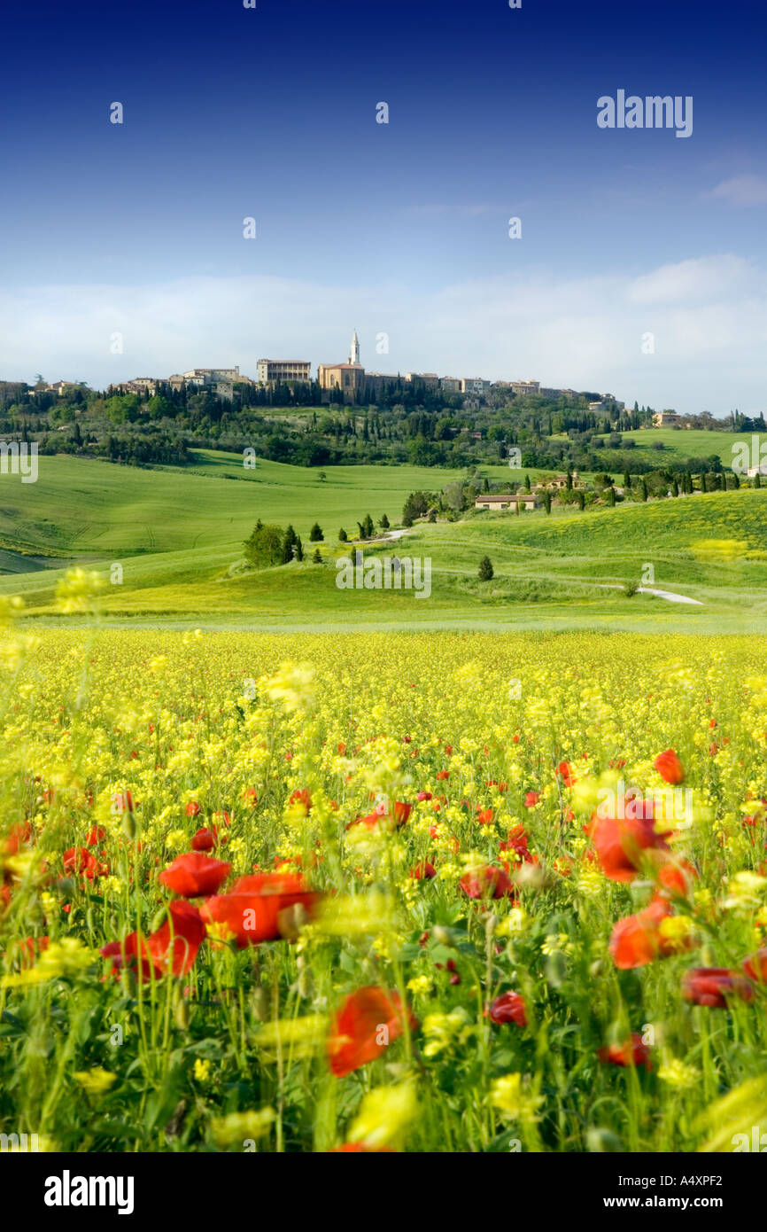 Pienza seen field wild flowers hi-res stock photography and images - Alamy