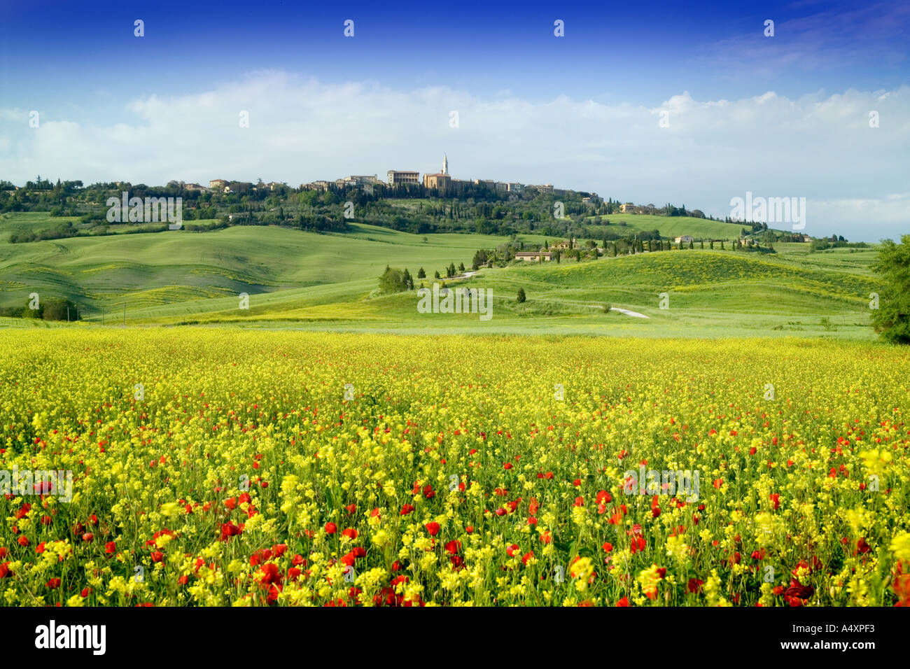 Pienza seen field wild flowers hi-res stock photography and images - Alamy