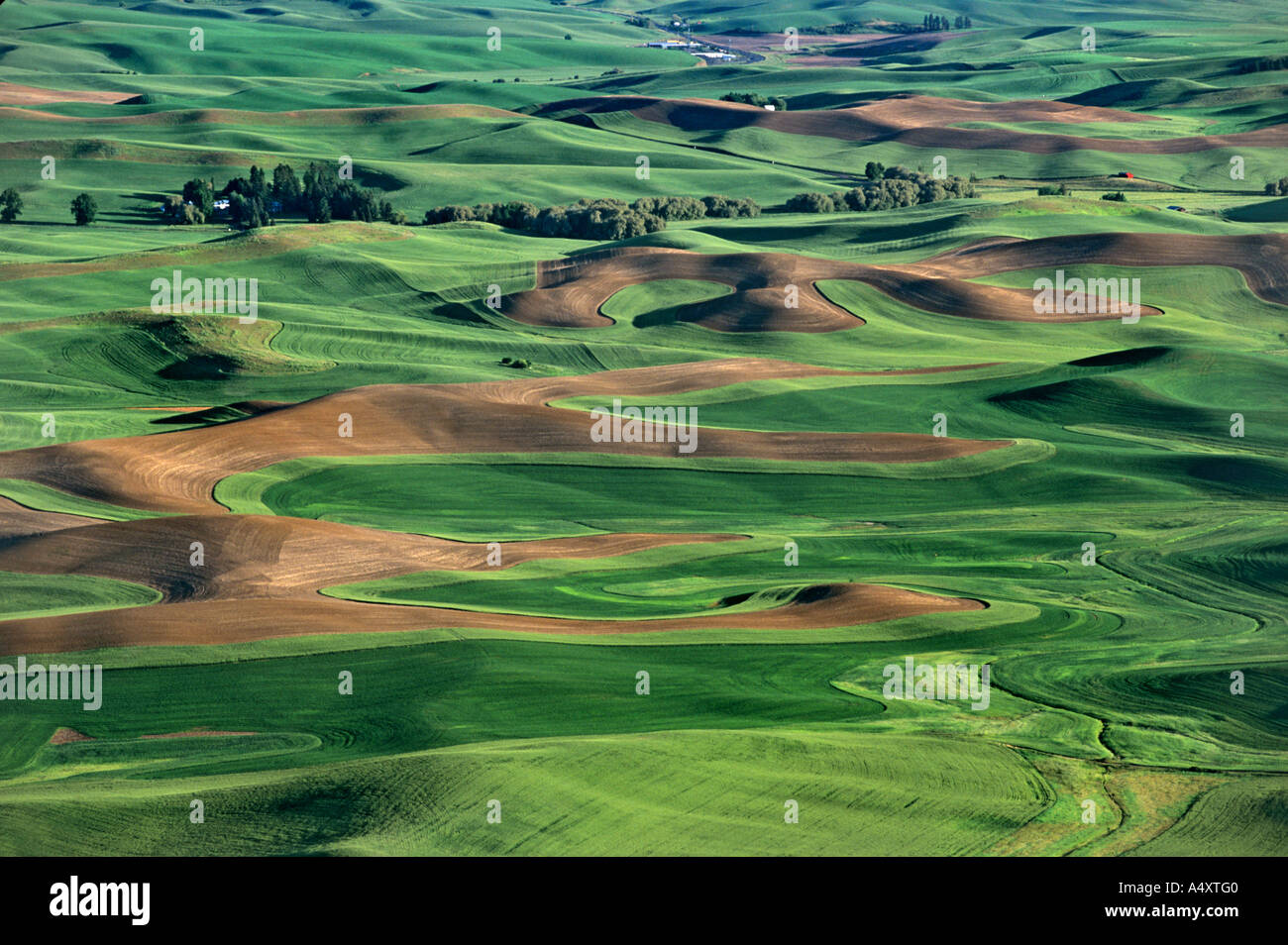 The Palouse region Stock Photo Alamy