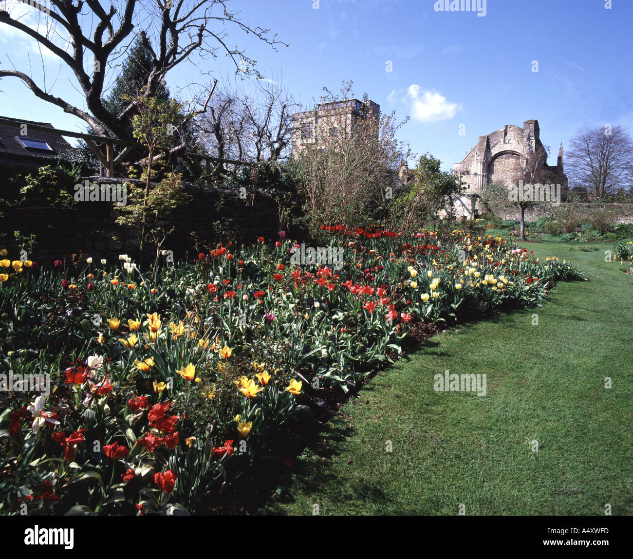 Abbey House Garden at Malmesbury Stock Photo Alamy