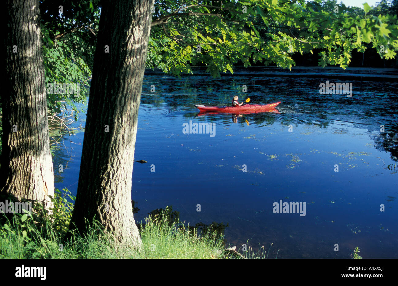 Hampton NH Kayaking on the Taylor River where it flows through the Hurd