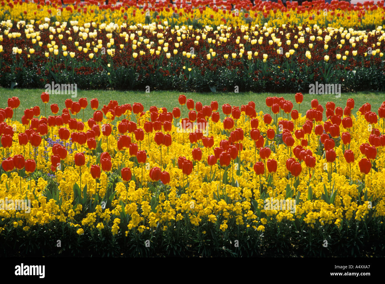 Queen victoria plant hires stock photography and images Alamy