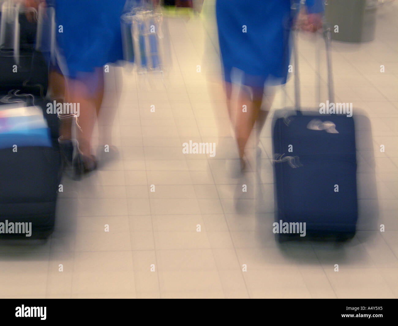 stewardess travel Stock Photo