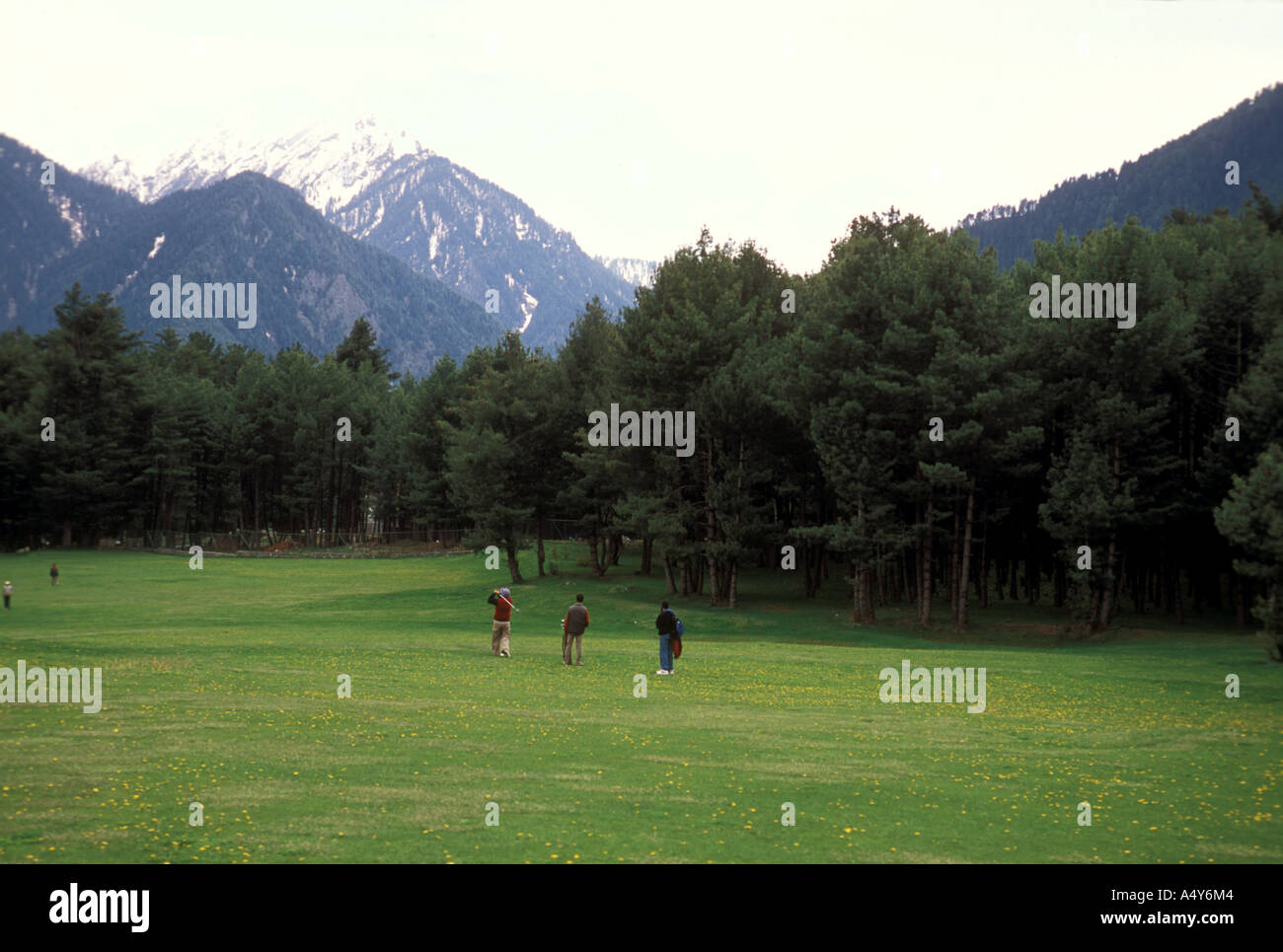 GRASSLANDS Stock Photo