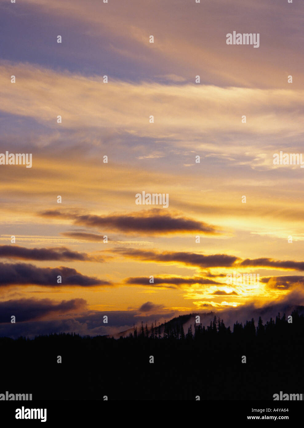 Pacific Northwest Sunset in Washington State USA 1998 Stock Photo - Alamy