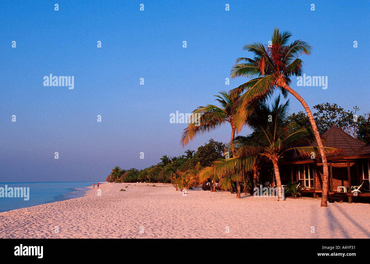 Maldives island Kuredu Beach Malediven Maldives Islands Stock Photo - Alamy
