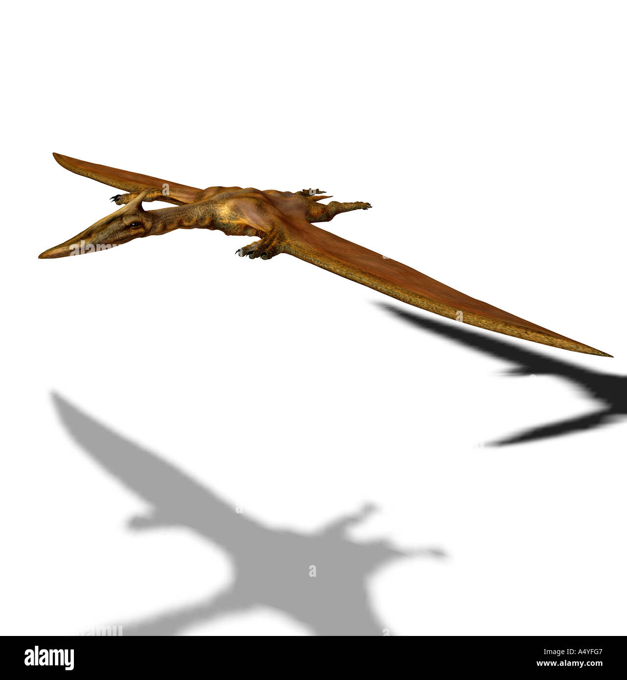 Quetzalcoatlus High Resolution Stock Photography And Images Alamy