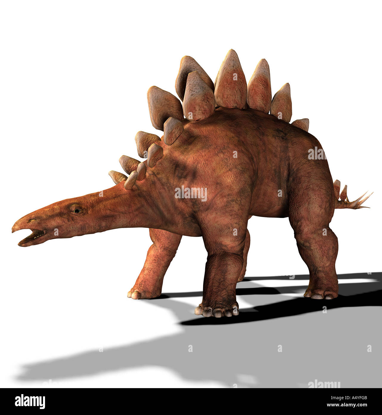 Stegosaurus hires stock photography and images Alamy