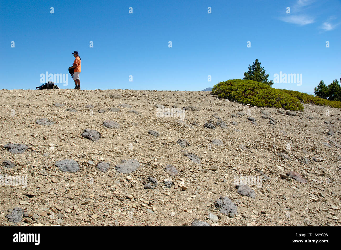 Hiker atop summit of Mount Baden Powell Los Angeles National Forest