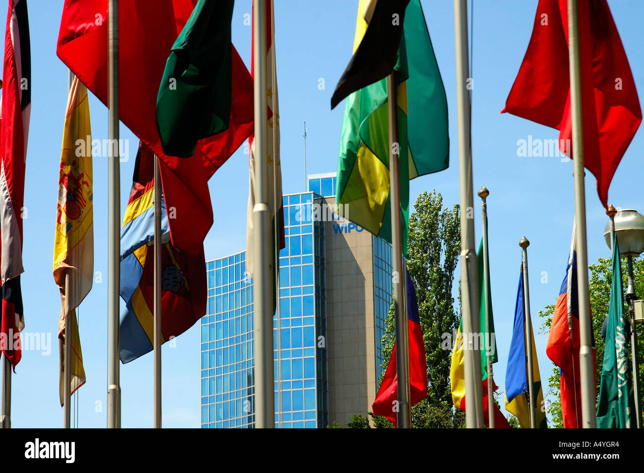 Flags in front of the World Intellectual Property Organization WIPO OMPI Geneva Switzerland Stock Photo