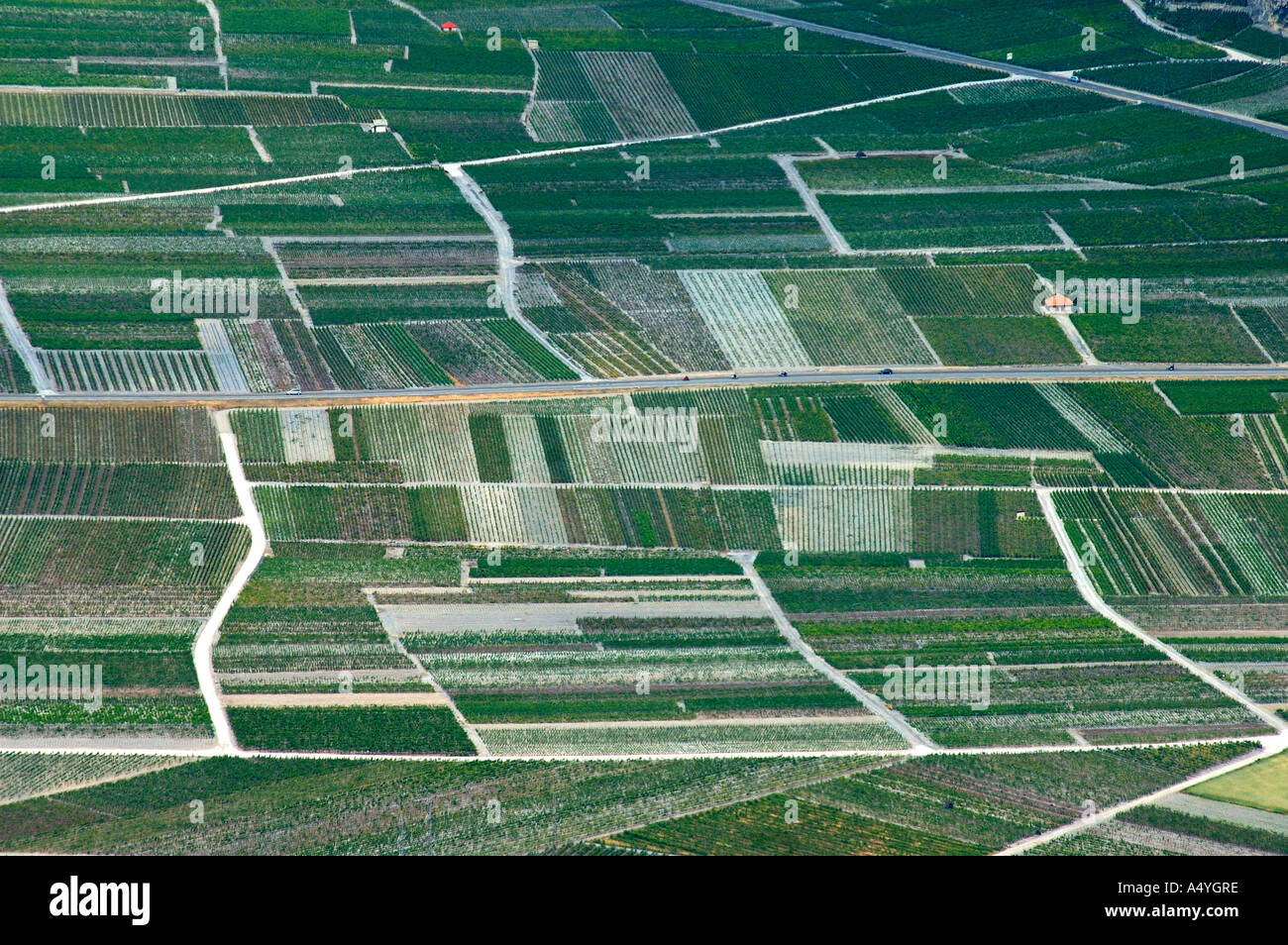 Intensivly cultivated fruits plantations, aerial view, Central Valais, Switzerland Stock Photo