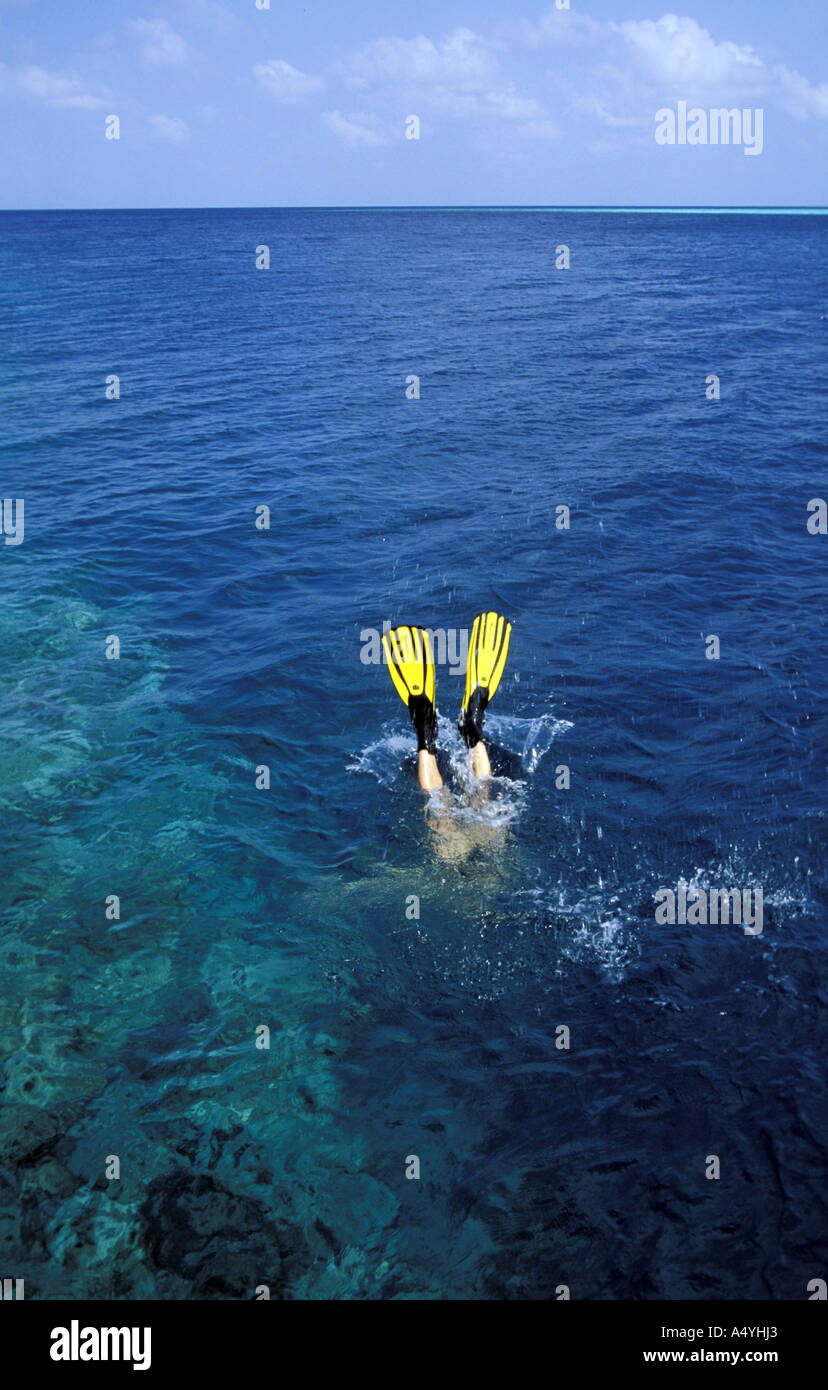 Man diving in the sea Stock Photo