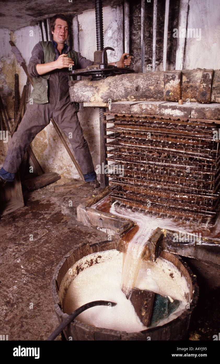 Making traditional cider at Axminster Devon Stock Photo Alamy