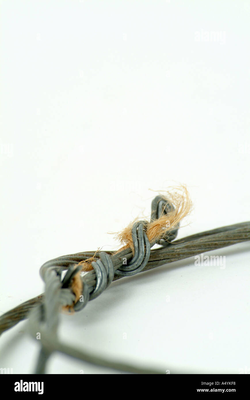 artistic shot of curled wire cable  Stock Photo