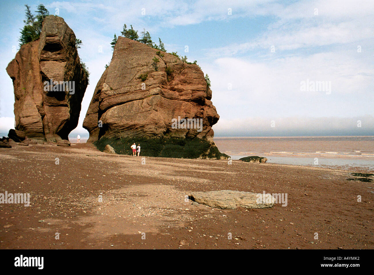 Cape Hopewell Rocks, New Brunswick, Canada Stock Photo Alamy