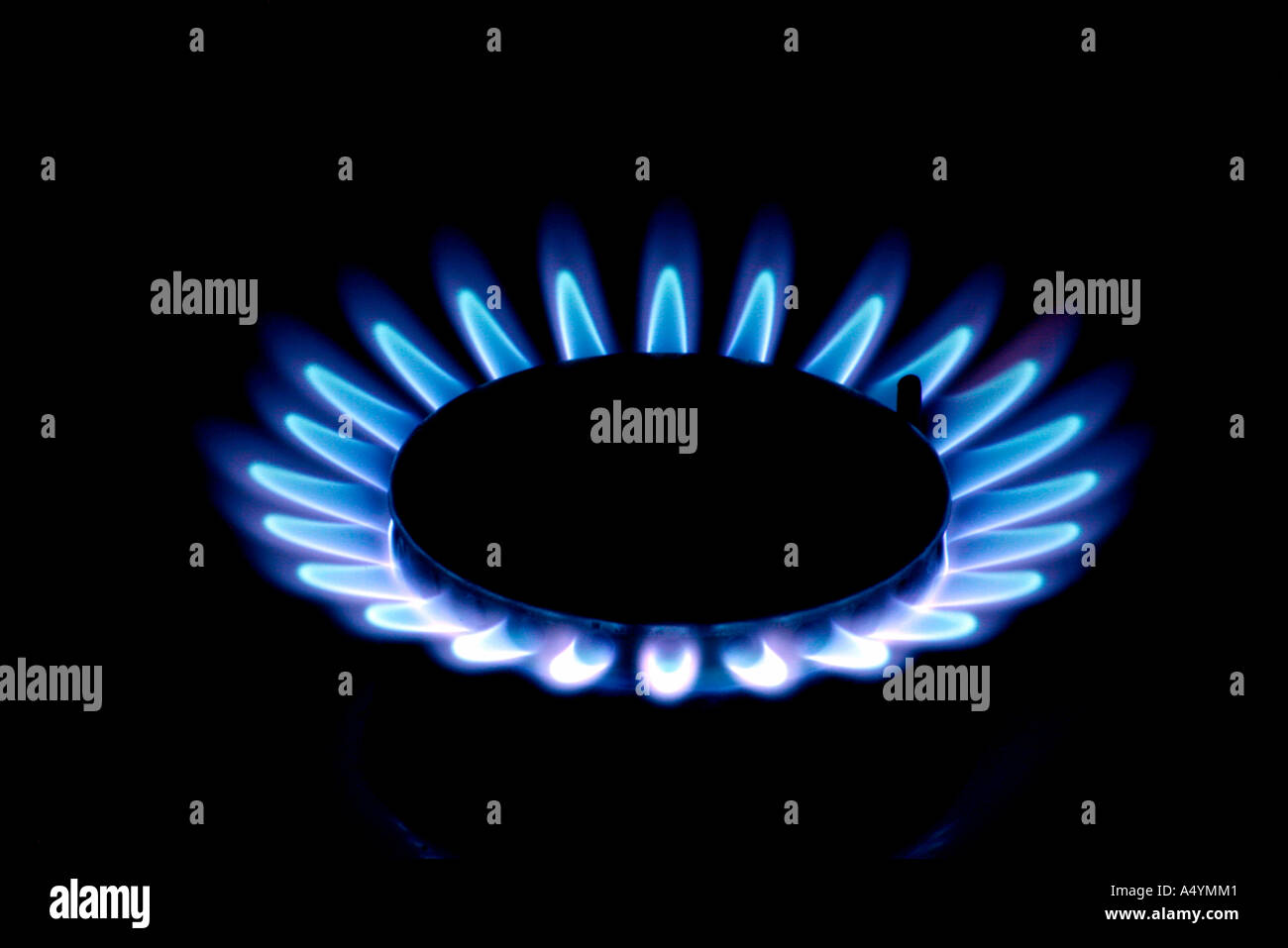 Flame on a gas stove Stock Photo Alamy
