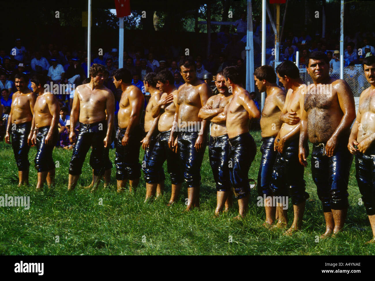 Oiled wrestling hi-res stock photography and images - Alamy