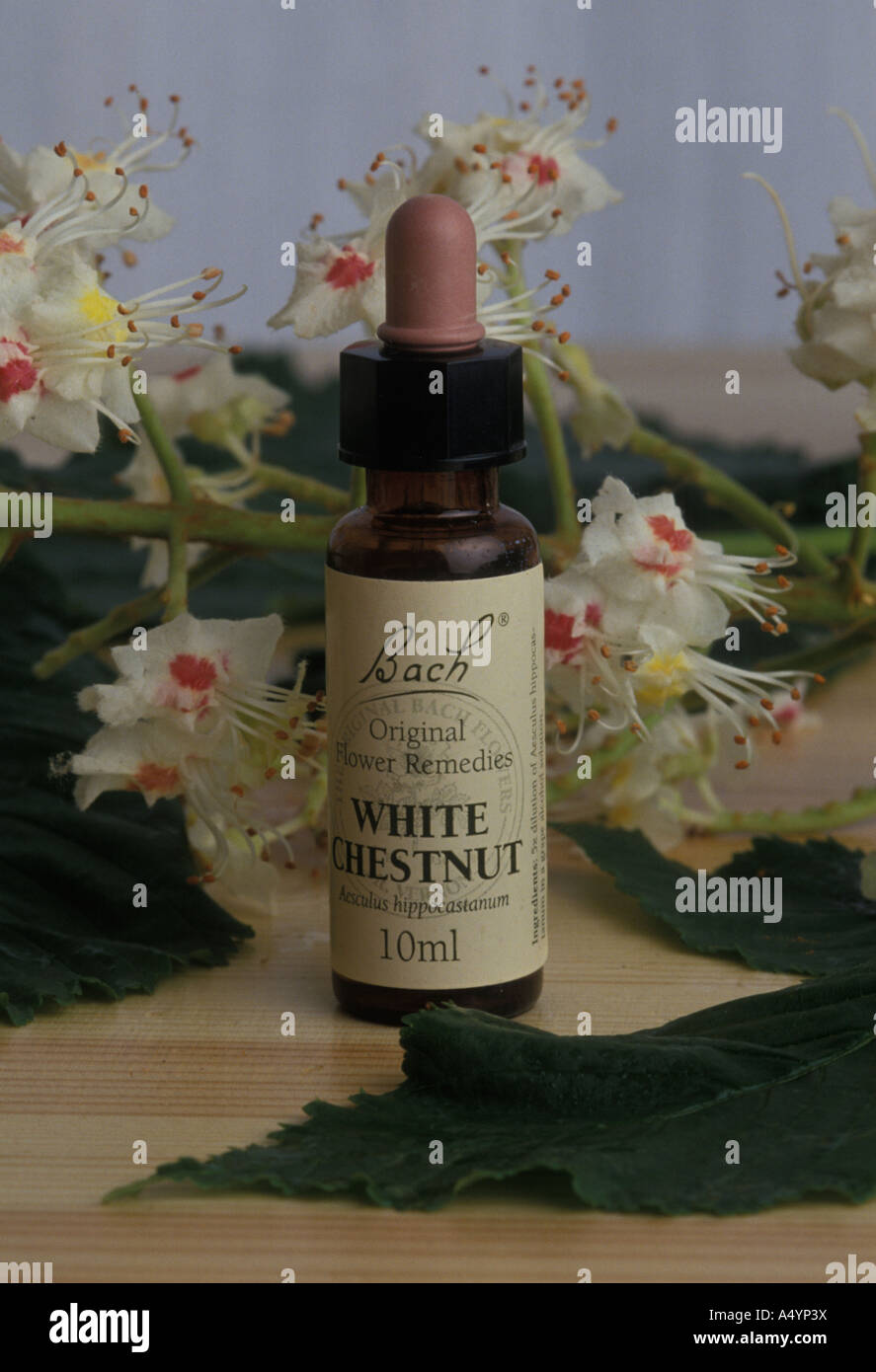 Bach flower remedies Stock Photo Alamy