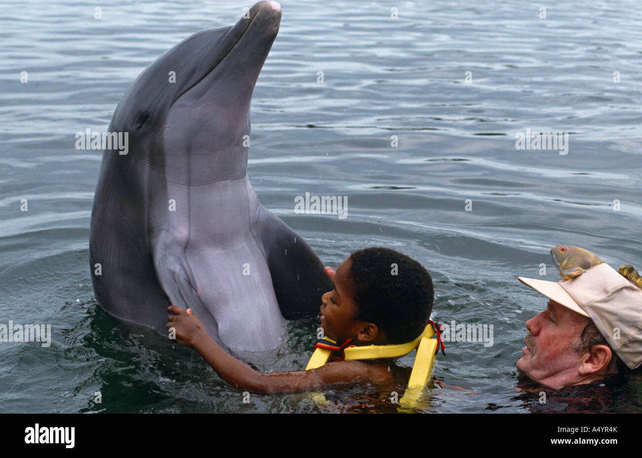 A disabled boy swims with a dolphin at the Dolphin Research Centre in Florida, USA. Stock Photo