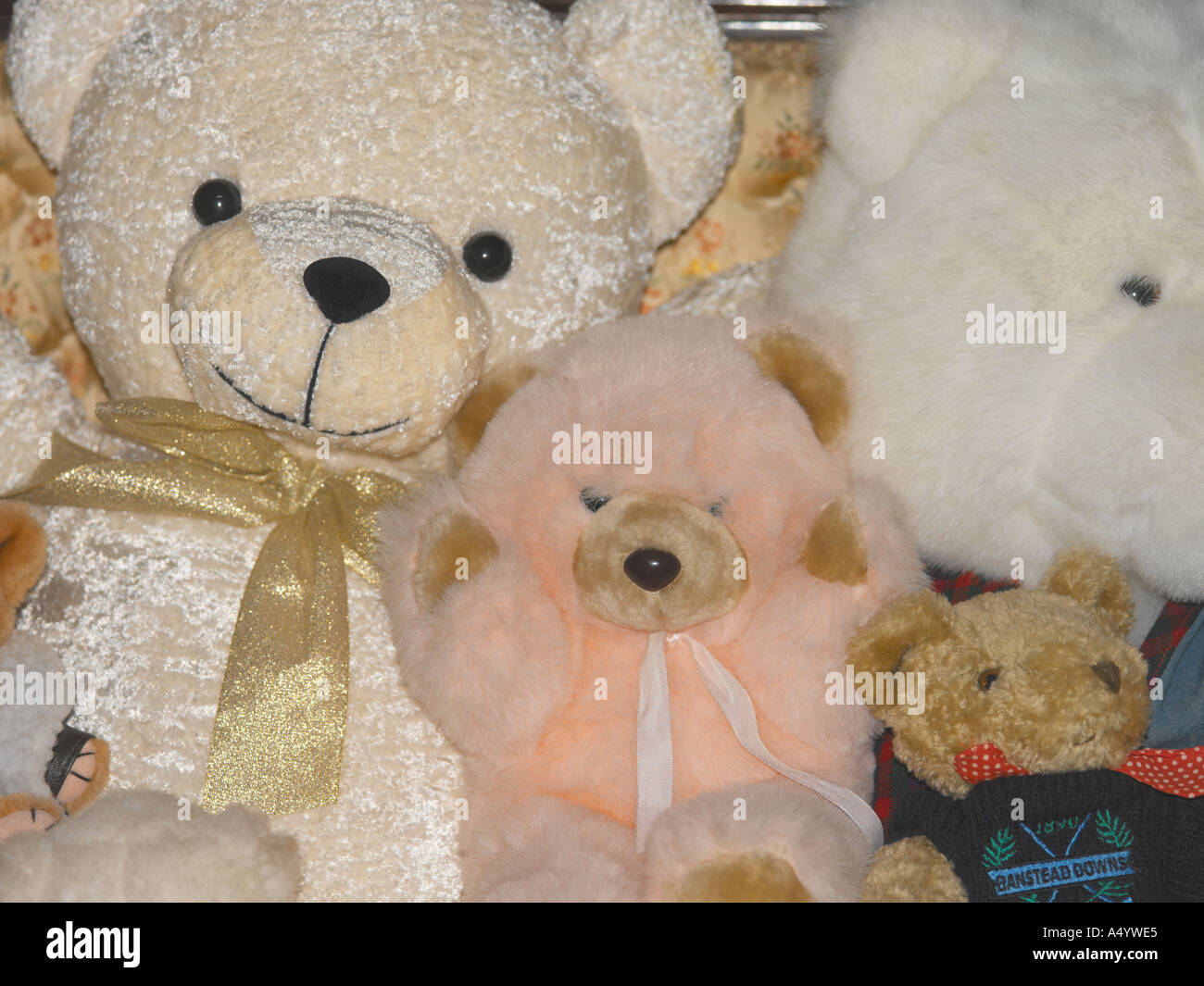 Cuddly bears hi-res stock photography and images - Alamy