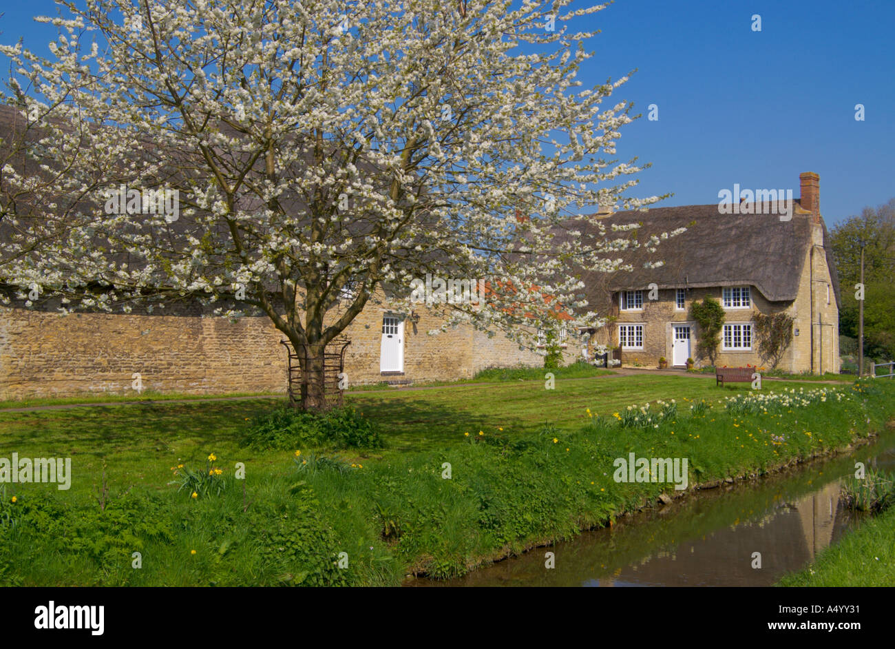 Thatched cottages beside the village brook Grafton Underwood Northamptonshire England Stock Photo