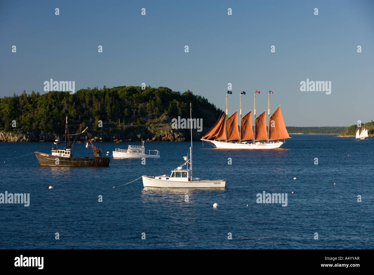 The four masted schooner sets sail in Frenchman Bay Bar Harbor Maine USA Stock Photo