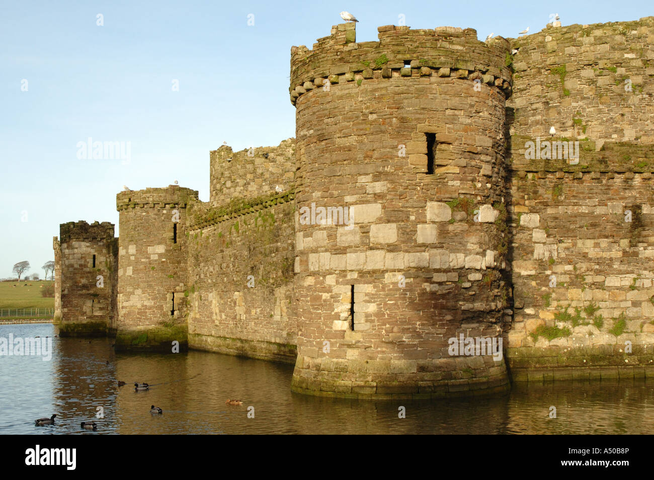 Beaumaris Castle, Wales Stock Photo Alamy