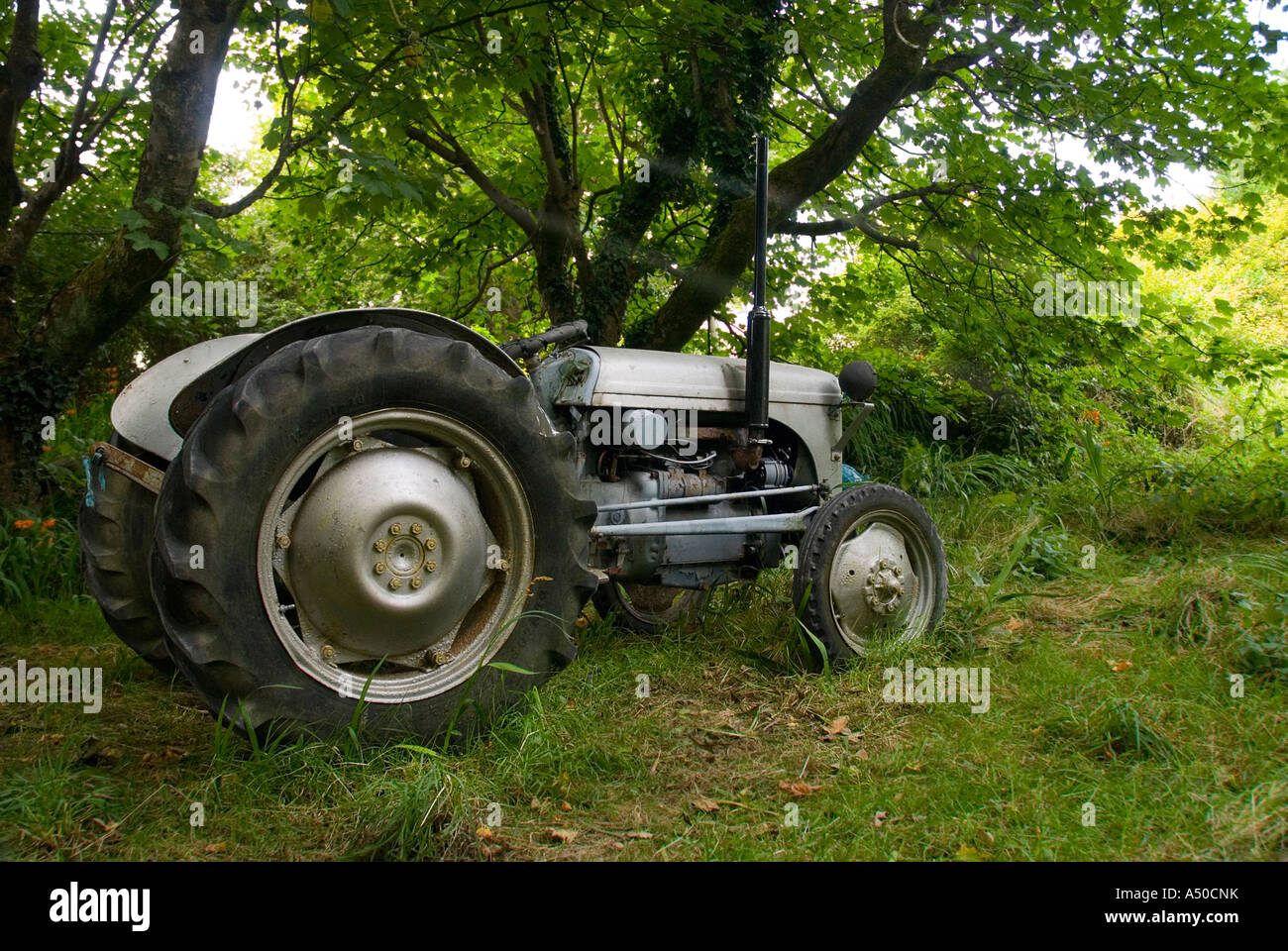 Vintage tractor ireland hires stock photography and images Alamy