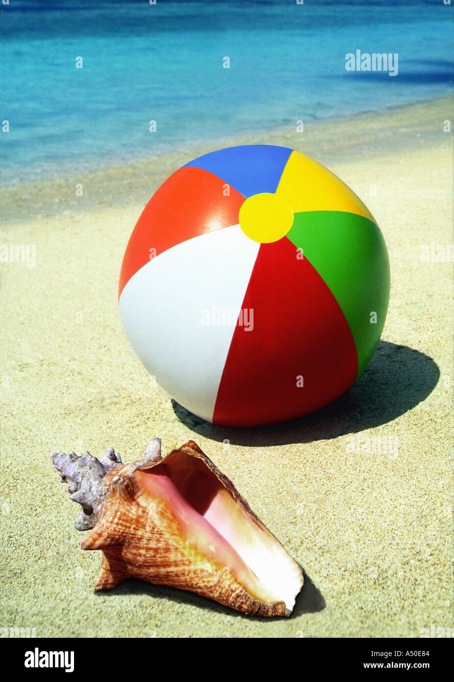 beach ball and sea shell on sandy beach Stock Photo