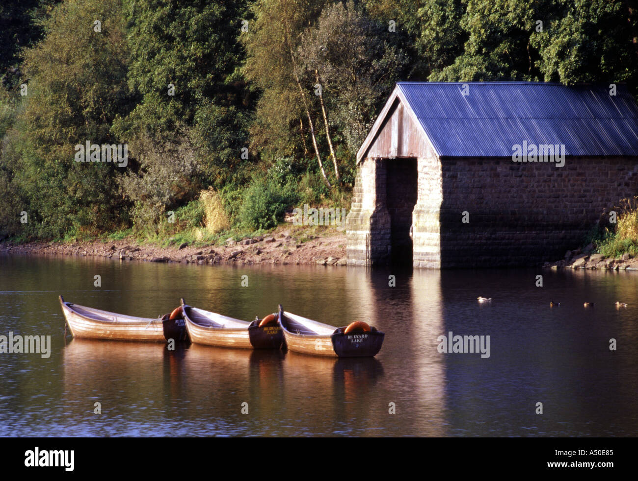 Rowing boats moored outside a boathouse at Rudyard Lake Staffordshire ...