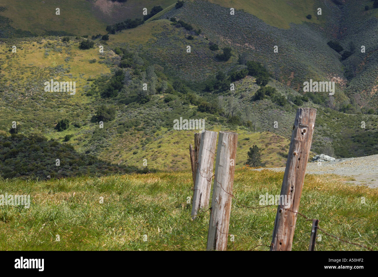 Los Padres National Forest Stock Photo Alamy