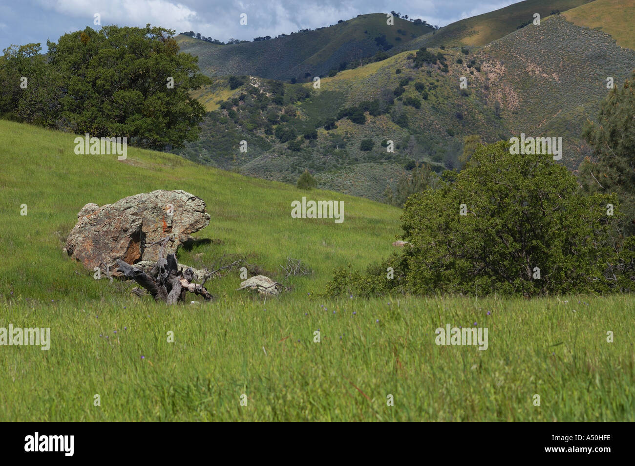 Los Padres National Forest Stock Photo Alamy