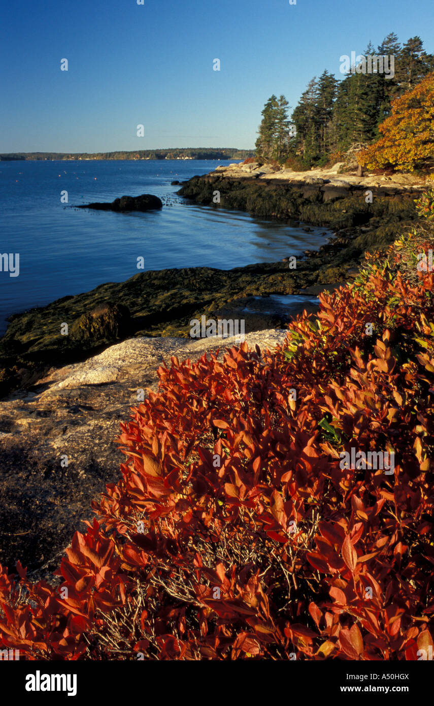 Barters Island Boothbay ME Fall at the Porter Preserve on the Sheepscot