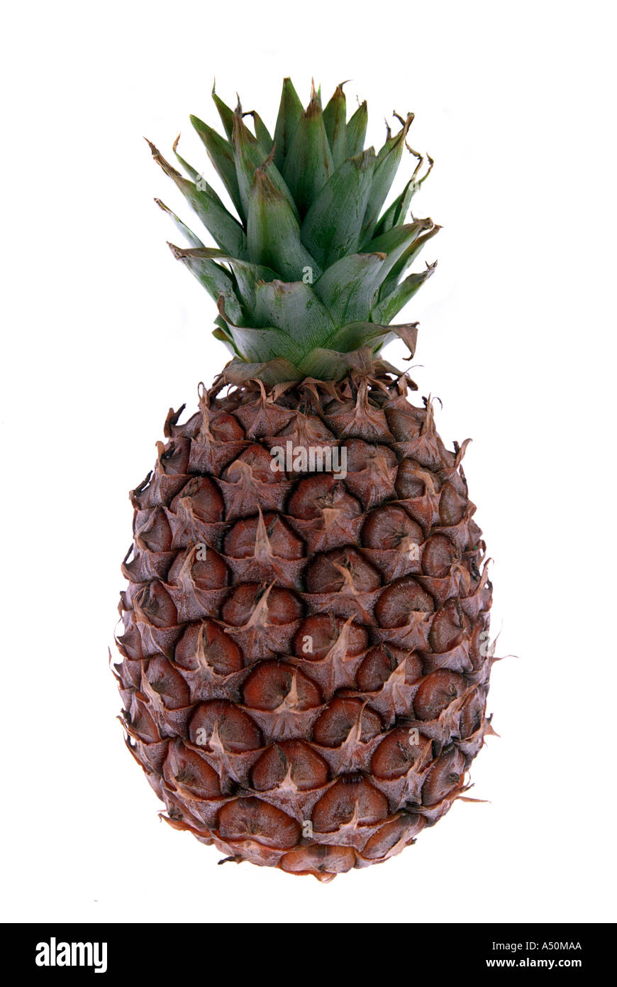 Pineapple on a white background Stock Photo