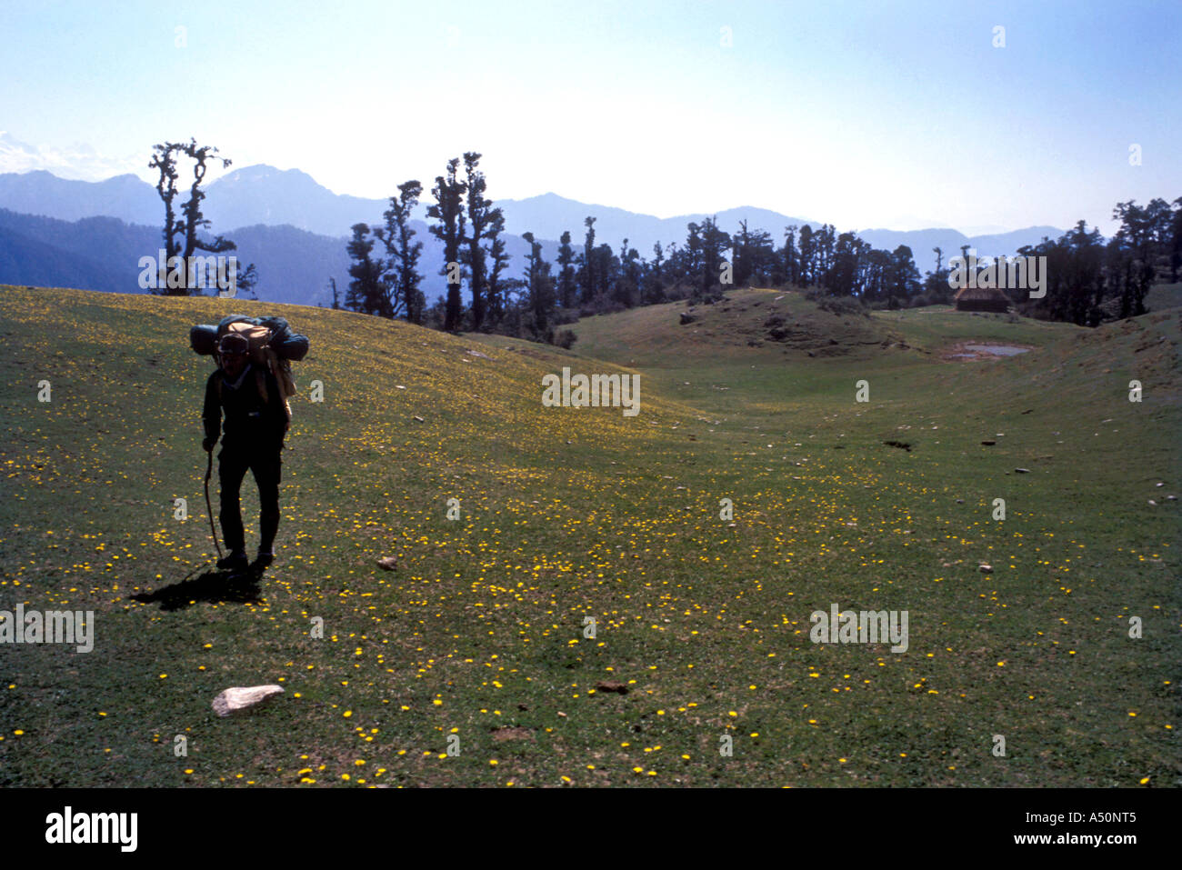 Trekker Kedarnath area Stock Photo